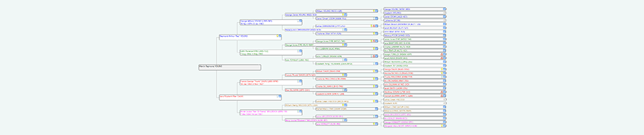 Genealogy Research of Martin Young